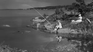 Задник до фильму"Сунична галявина" #693400