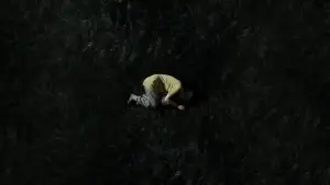 Задник до фильму"" #745465