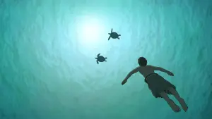 Задник до фильму"Червона черепаха" #211948