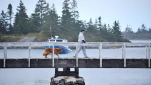 Задник до фильму"" #452230