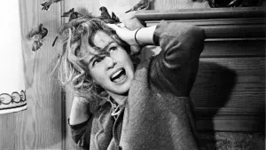 Задник до фильму"Птахи" #209985