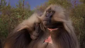 Задник до фильму"Le royaume des nuages" #800276