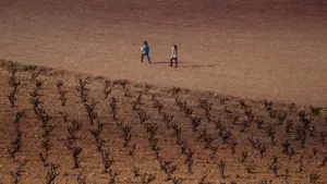 Задник до фильму"" #199526