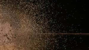 Задник до фильму"Зоряні війни: Епізод 4 — Нова надія" #546715