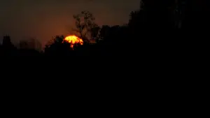 Задник до фильму"Зловісні мерці" #800598