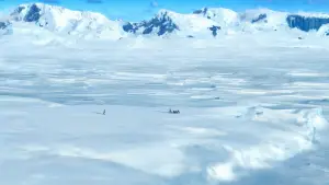 Задник до фильму"Веселі ніжки" #671400