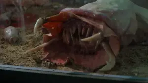 Задник до фильму"" #417206