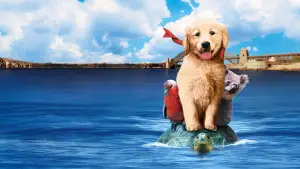 Задник до фильму"Наполеон" #646958