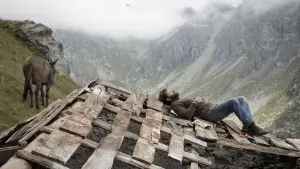 Задник до фильму"" #201157