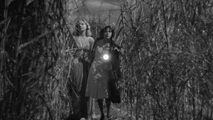 Задник до фильму"Я гуляла із зомбі" #466297