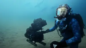 Задник до фильму"Sharks Up Close with Bertie Gregory" #793000