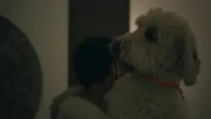 Задник до фильму"Сплітсвіль. Розлучення по-дорослому" #796445