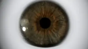 Задник до фильму"Опинись у моїй шкірі" #805177