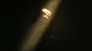 Задник до фильму"Апокаліпсис наших днів" #593726