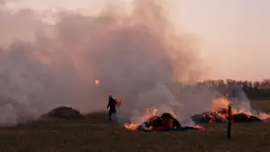 Задник до фильму"Край очерету" #790224