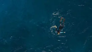 Задник до фильму"Занурення" #323415