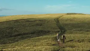 Задник до фильму"Зоряний пил" #802846