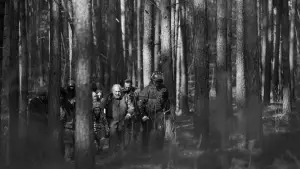 Задник до фильму"Зелений кордон" #756087