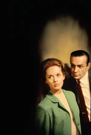 Постер до фильму"Марні" #235534