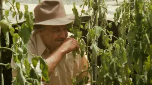 Задник до фильму"Хрещений батько" #518677