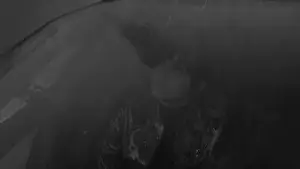 Задник до фильму"Той, хто біжить по лезу 2049" #747091