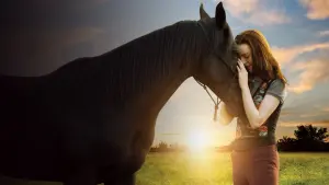 Задник до фильму"" #451868