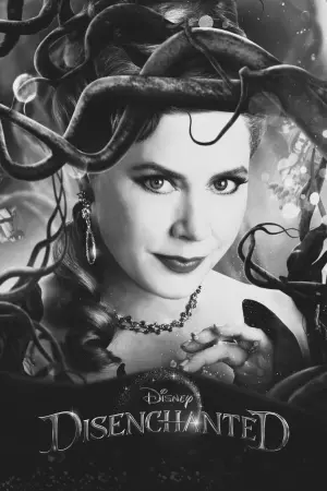 Постер до фильму"Зачарована 2" #465358