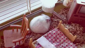 Задник до фильму"Німфоманка: Частина 1" #696878