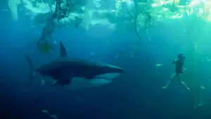 Задник до фильму"" #595592