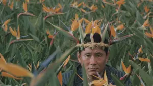 Задник до фильму"" #451369