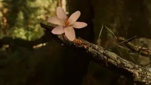 Задник до фильму"Лабіринт Фавна" #597392