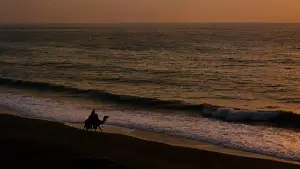 Задник до фильму"Лоуренс Аравійський" #751396