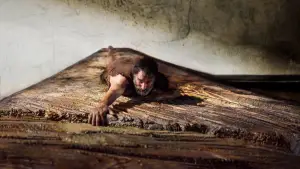 Задник до фильму"Людина, що зменшується" #526979