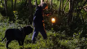 Задник до фильму"Котяче життя. Велика пригода Муурр" #385344