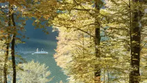 Задник до фильму"" #705208