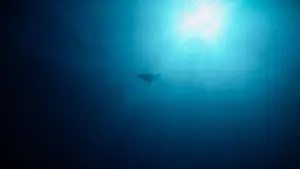 Задник до фильму"" #543136