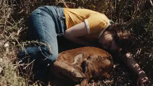 Задник до фильму"Звук падіння" #764161