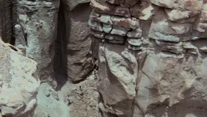 Задник до фильму"Планета мавп" #655663