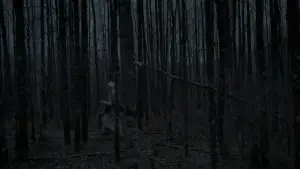 Задник до фильму"Відьма" #600252