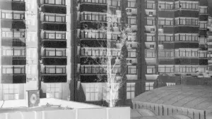 Задник до фильму"" #572570