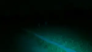 Задник до фильму"" #540192