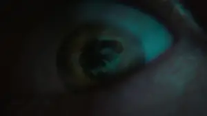 Задник до фильму"Хелловін. Кінець" #699662