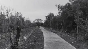 Задник до фильму"โลคอลเซนเซชันส์" #782235