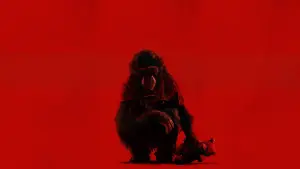 Задник до фильму"Примат" #766100