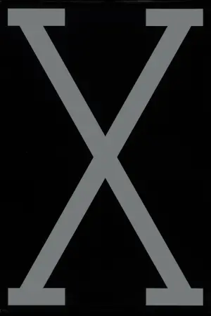 Постер до фильму"Малкольм Ікс" #112569