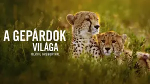 Задник до фильму"" #539388