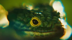 Задник до фильму"Кліпни двічі" #780307