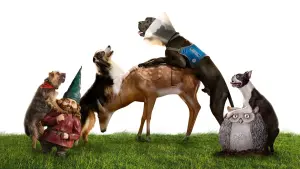 Задник до фильму"Кудлаті перці" #212164