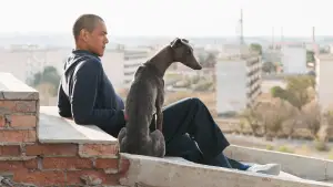 Задник до фильму"" #600686