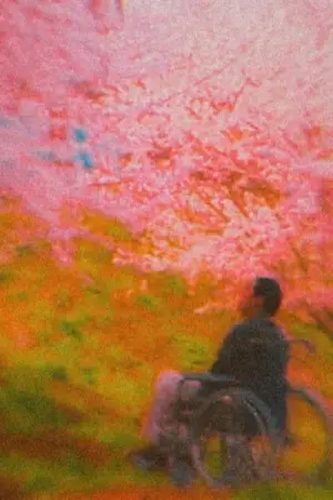 Постер до фильму"Феєрверк" #711011